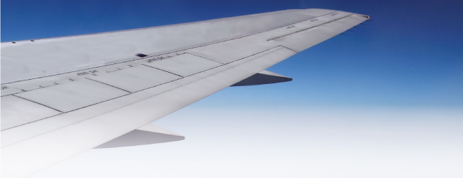 Immigration Law Perspective