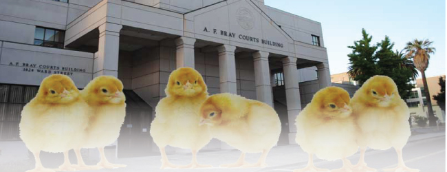 An Update from the Front-Lines of Contra Costa County’s Legal Incubator Program