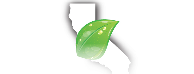 California Environmental Law Update
