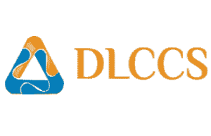 DLC Consulting Services logo