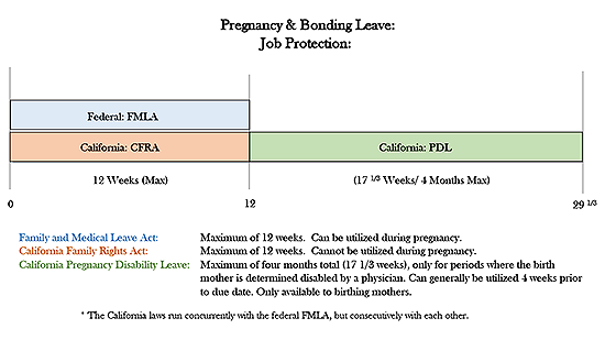 chart of pregnancy and bonding leave for job protection